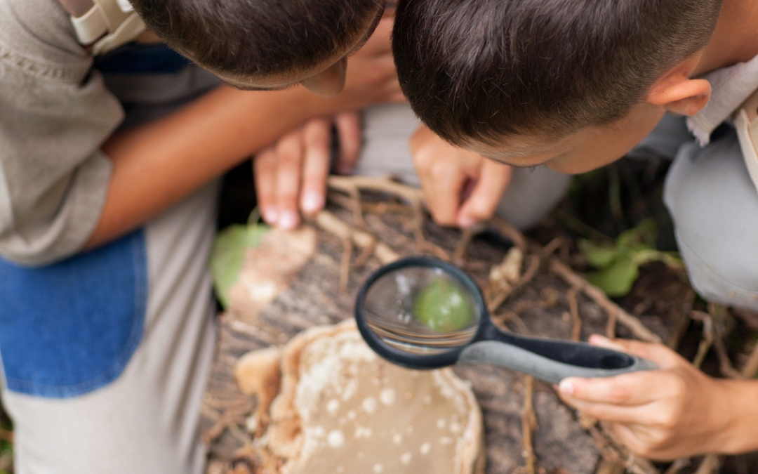 How Managers Can Get More from Their Summer Camp Budget